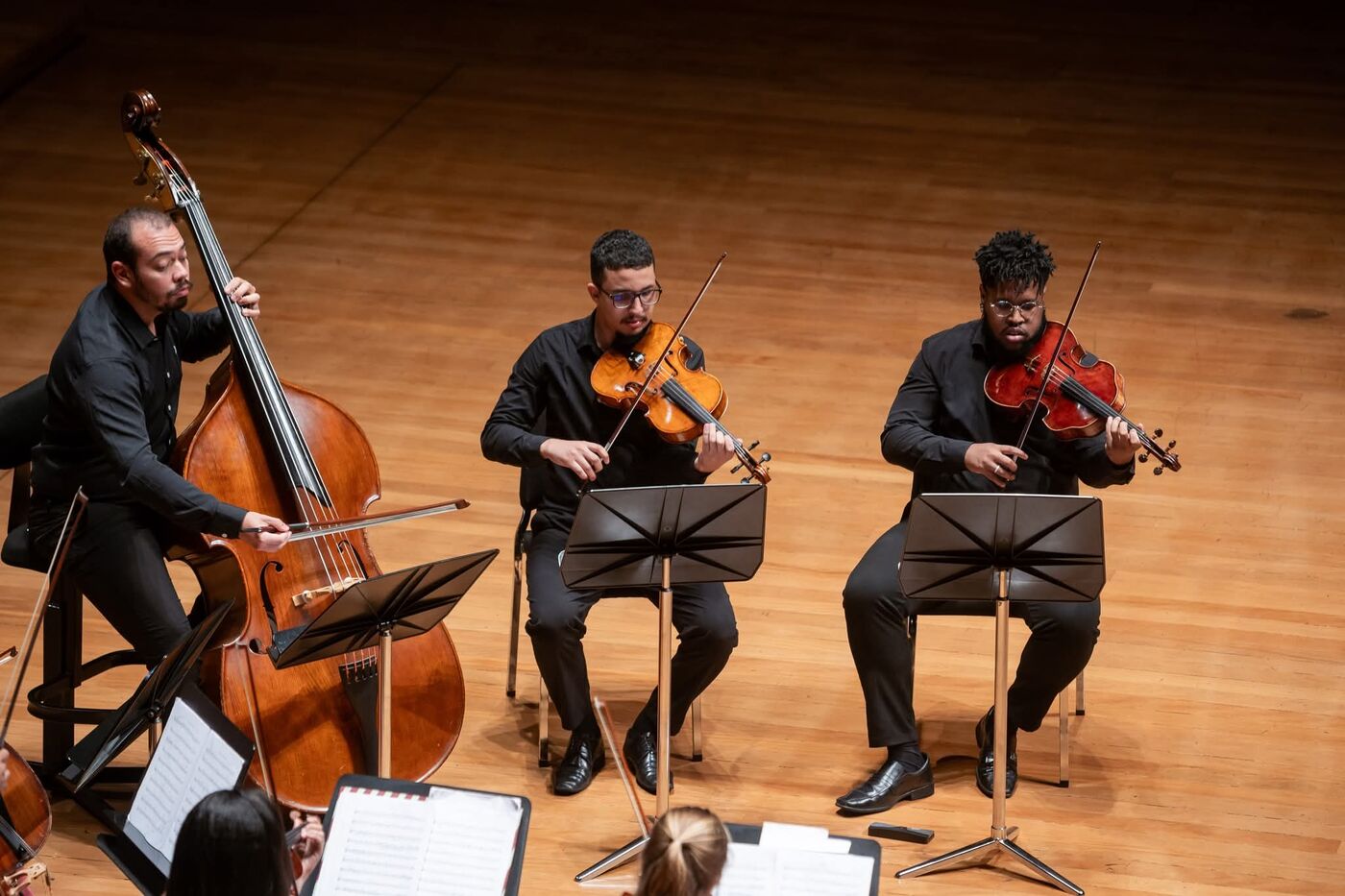 Duas violas e contrabaixo em concerto